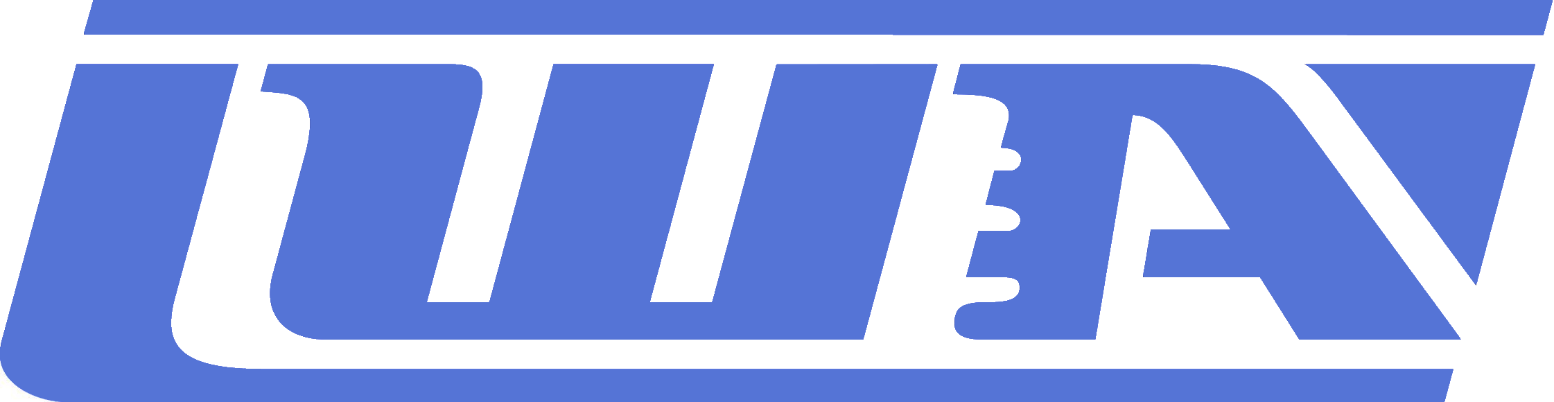 International Windsurfing Association Logo