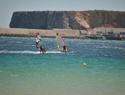 Two Portuguese windsurfers are Biodiversity Ambassadors of the white crowberry – an Iberian ‘wind pollinated coastal plant’ of Emc2 Project